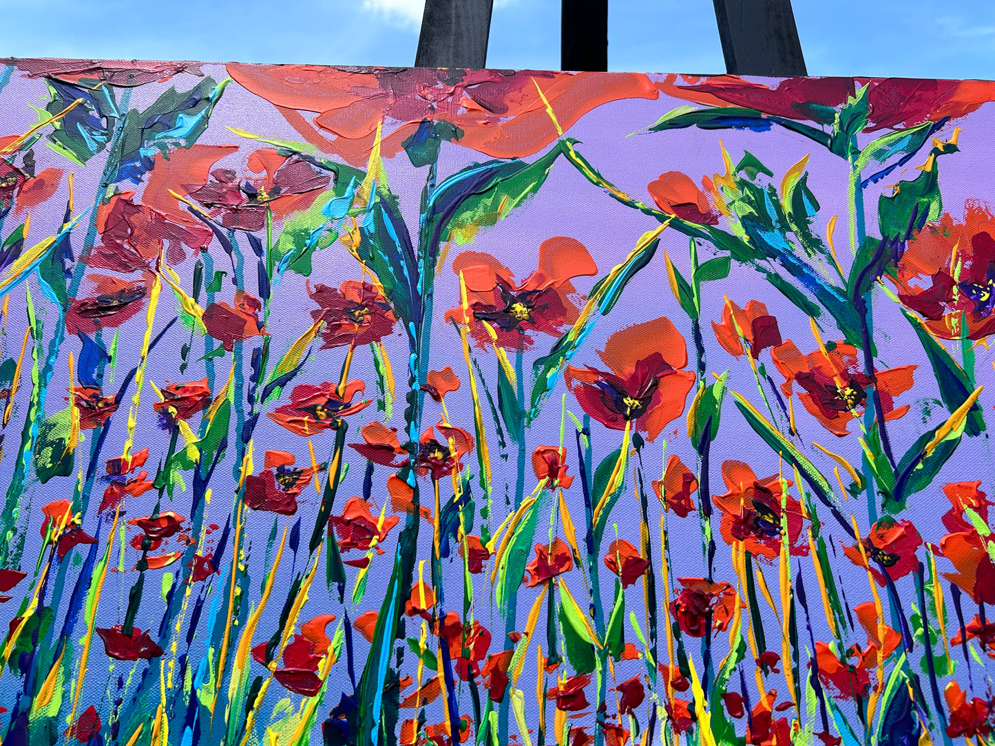 Poppy Field 4