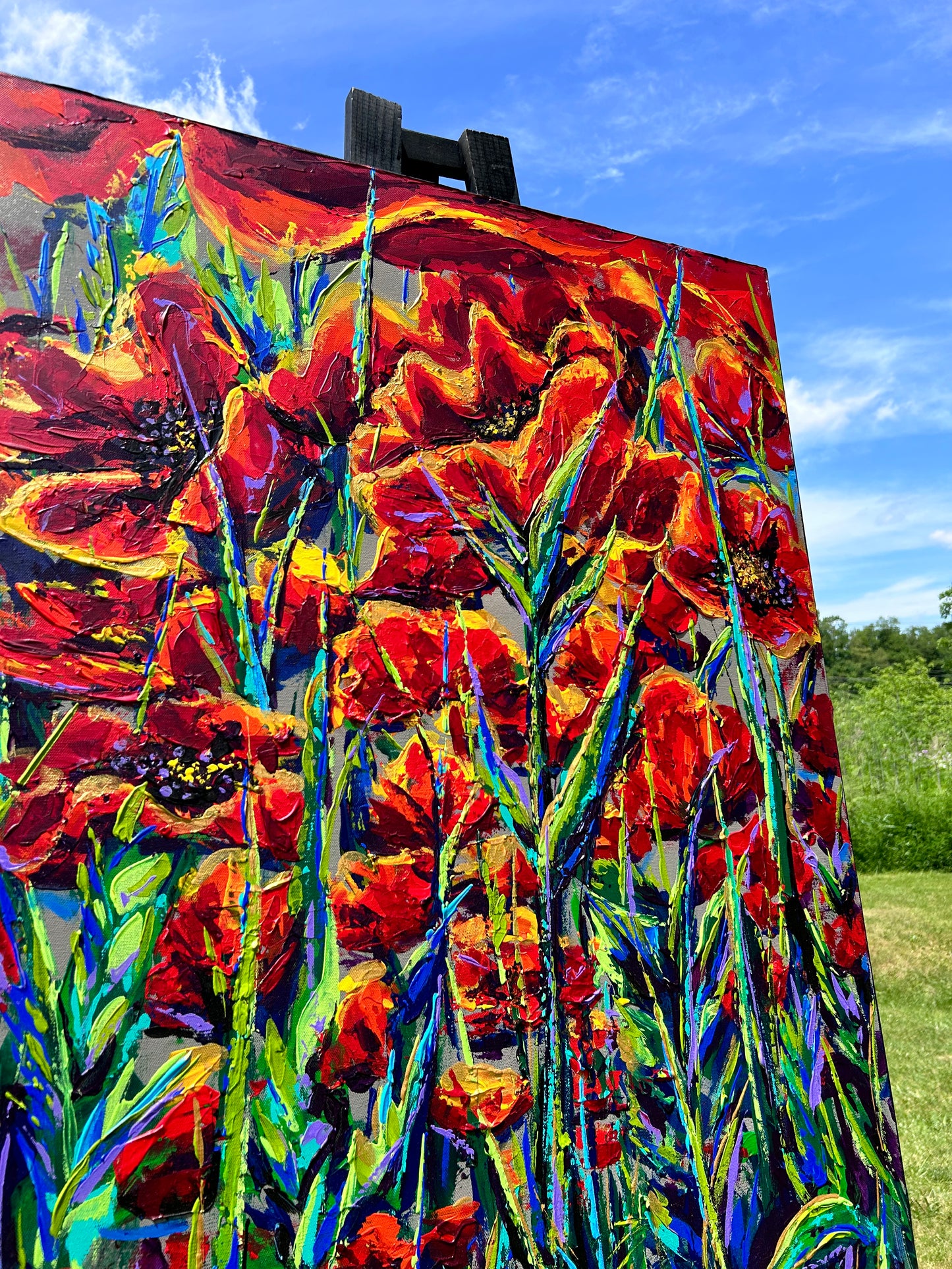 Poppy Field 2